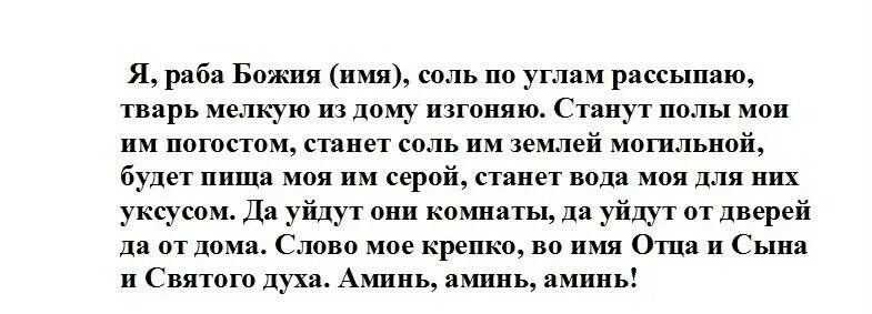 Заговор молитва от тараканов. Заклинание от тараканов в квартире. Заговор от клопов. Заговор от тараканов в квартире