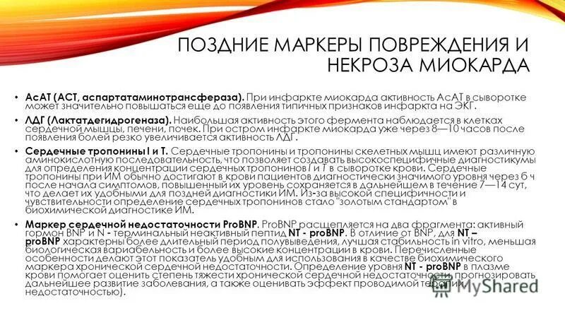 Аспартатаминотрансфераза в сыворотке крови