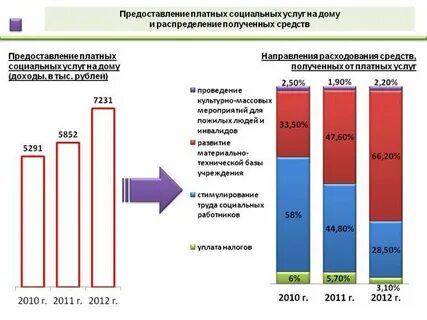 Платные социальные услуги