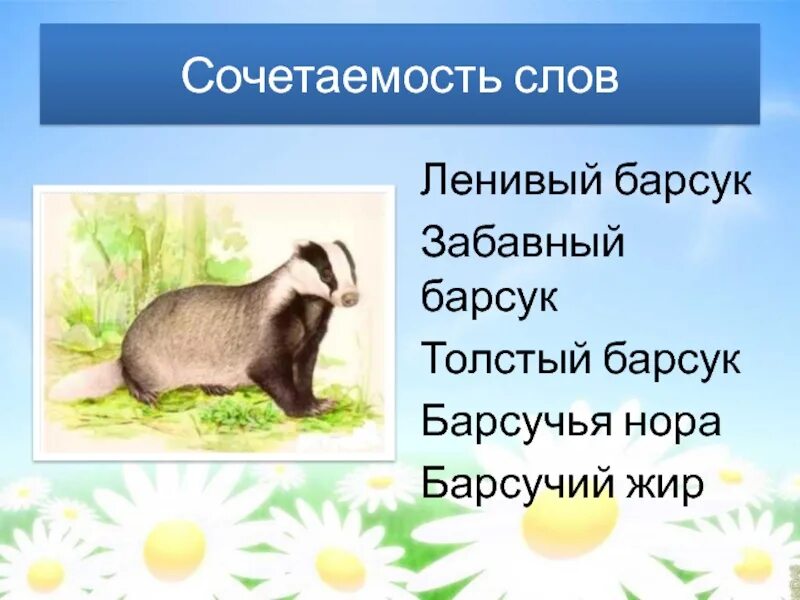 Слова со словом ленивый. Толстый барсук. Прилагательные к слову барсук. Барсук какой прилагательные. Предложение со словом барсук.