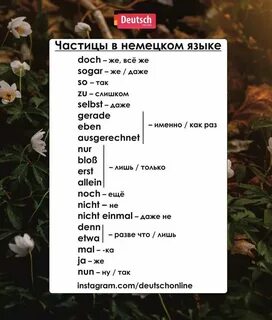 Учил немецкий перевести