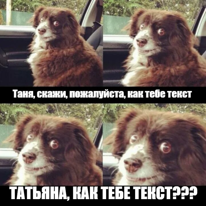 С днем татьяны смешные. Я тебе говорила таня. Я тебе говорила таня. Таня я тебя люблю. Плохого человека таней не назовут.