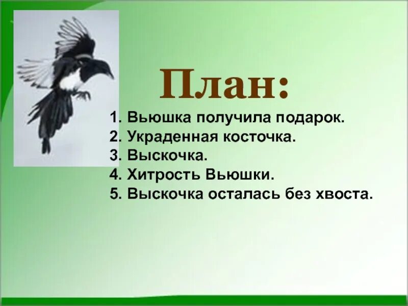 Какое чувство вызвала у тебя сорока выскочка. План вьюшка. Выскочка пришвин. План по рассказу выскочка. План сказки выскочка.