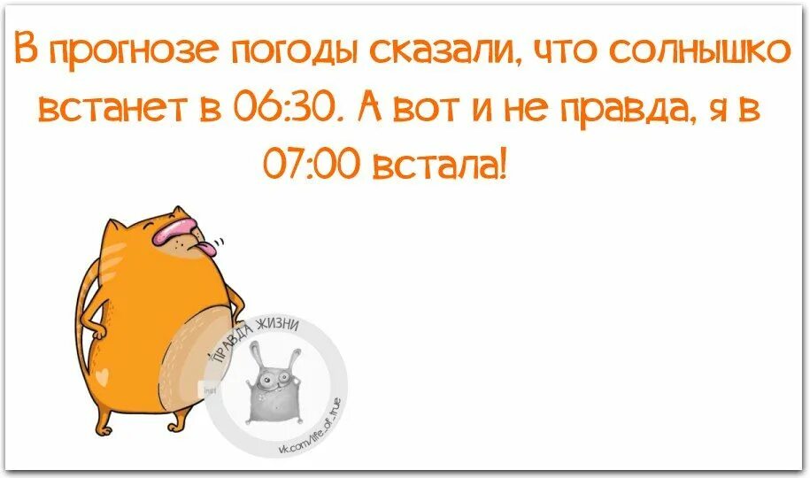 31 1 выходной. Планы на отпуск. Планы на отпуск прикол. Планируем отпуск. Высказывания про отпуск прикольные.