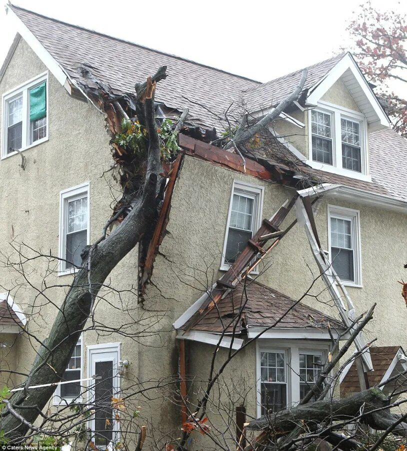 Дерево разрушило дом. Сломанный дом. Разрушенный дом после урагана. Деревья после смерча.
