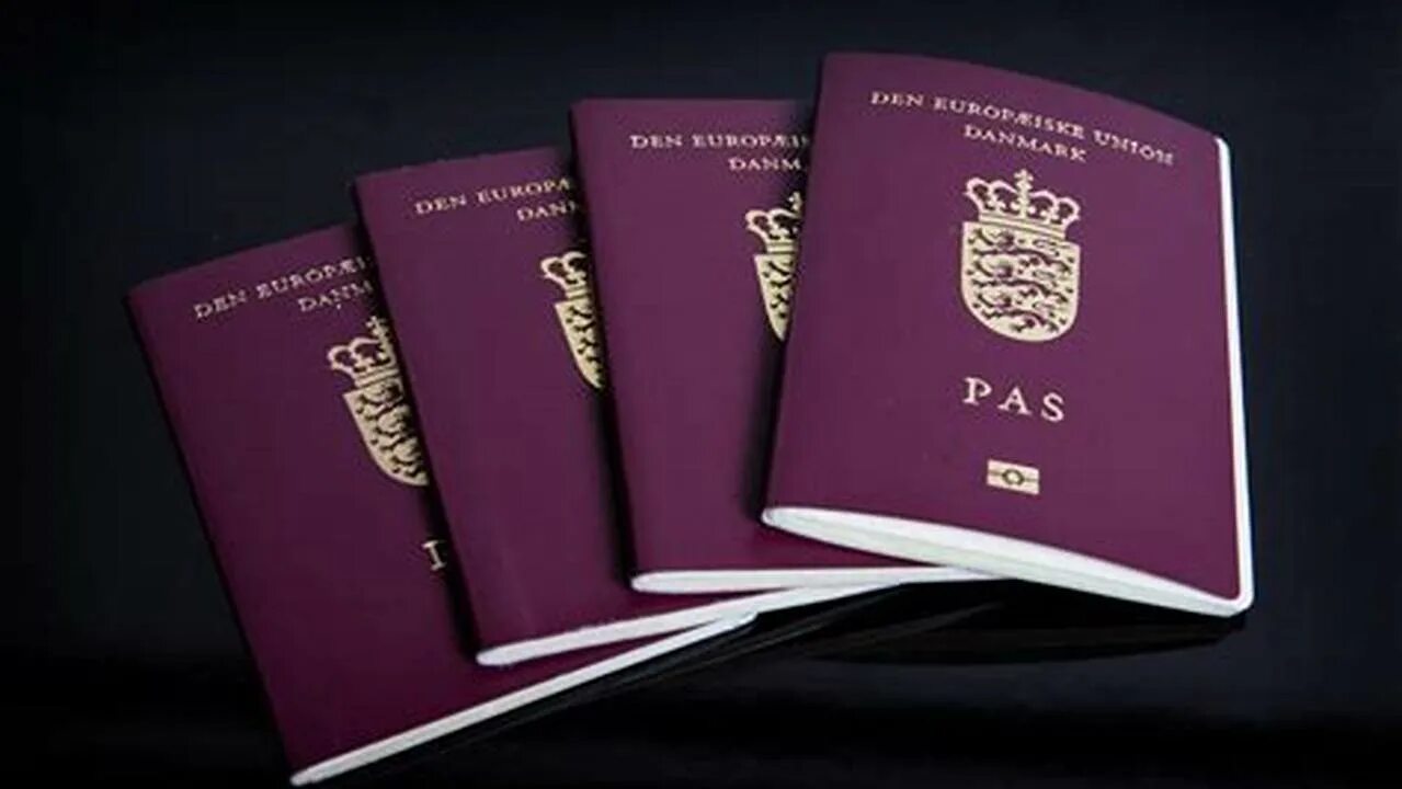 Как получить гражданство дании. Гражданство дании. датское гражданство.