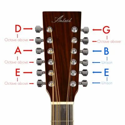 Pin on Guitar Twelve String