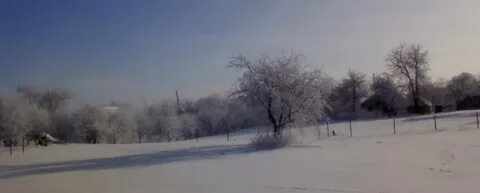 Погода прилепах пристенского