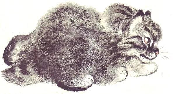 Е чарушин кот. Чарушин тюпа.