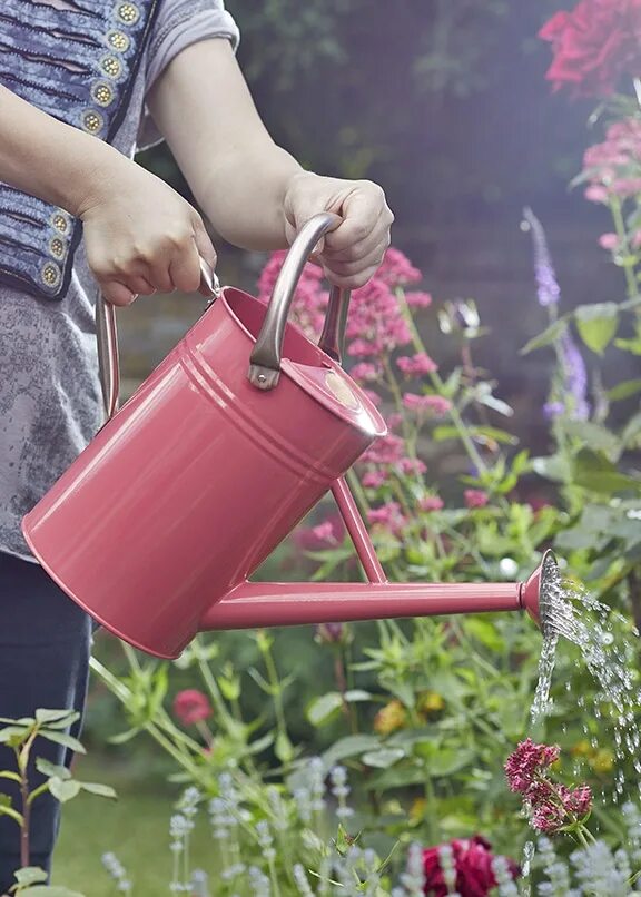 Лейка consta Garden. Лейка Садовая Smart Garden. Лейка 7л "Классик" м2582. Лейка для полива огорода металлическая.