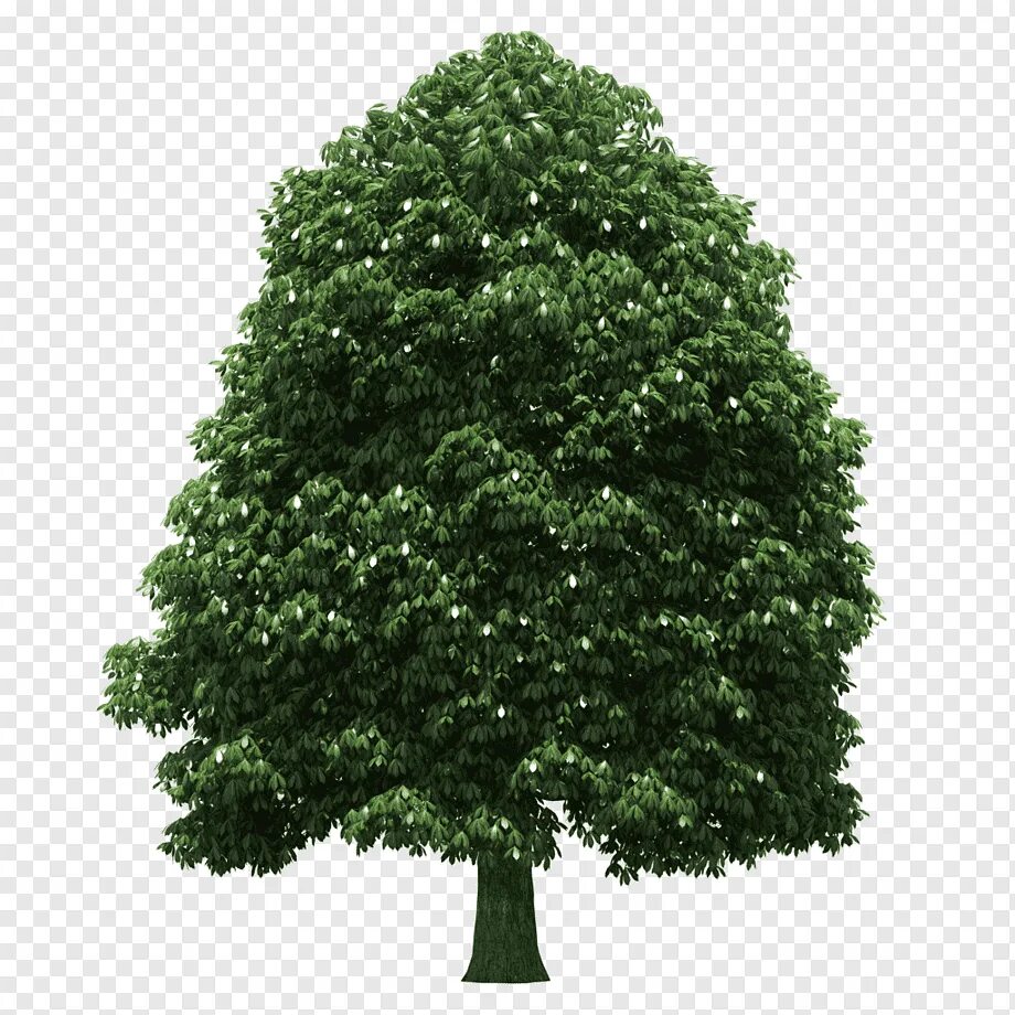 Tree translate