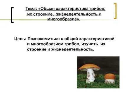 Признак гриба который выпадает из общего ряда