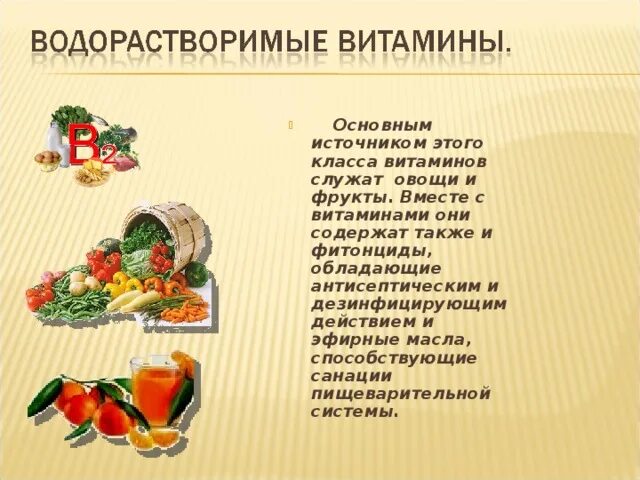 Водорастворимый витамин группы б. Водорастворимый витамин группы б