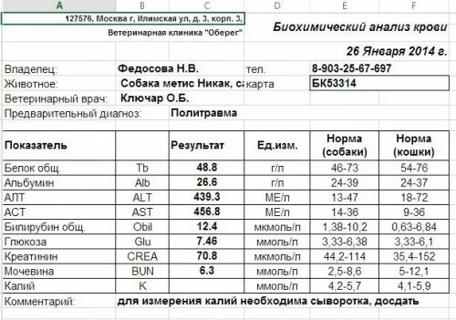 Алт аст в анализе крови что показывает. Биохимический анализ крови alt норма. Нормы показателей биохимического анализа АСТ алт. Биохимический анализ крови АСАТ норма. Нормы показателей крови биохимия алт АСТ ..