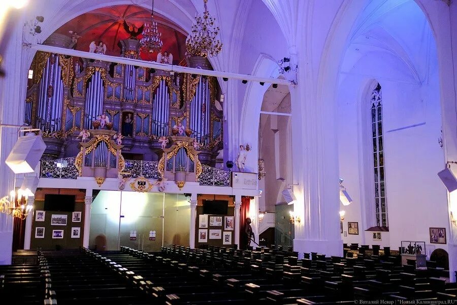 Органный концертный зал. Калининград органный концерт в кафедральном соборе.