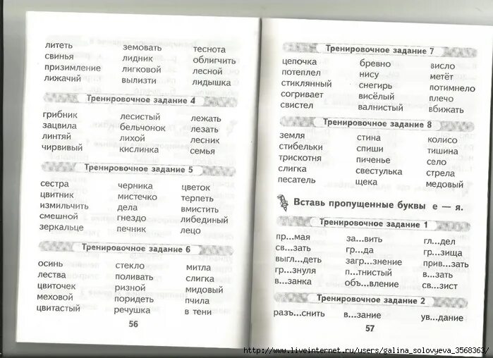 Орфографический тренажер по русскому. Орфографические тренажеры по русскому языку. Орфография 2 класс тренажеры. Орфографический тренажер 1 класс.