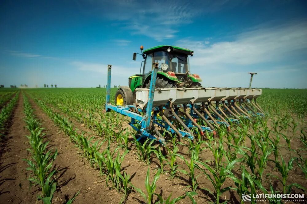 Ноу-тилл технология. Машины для ухода за посевами. Междурядная культивация кукурузы. Amazone кас-32. Обработка кукурузы.