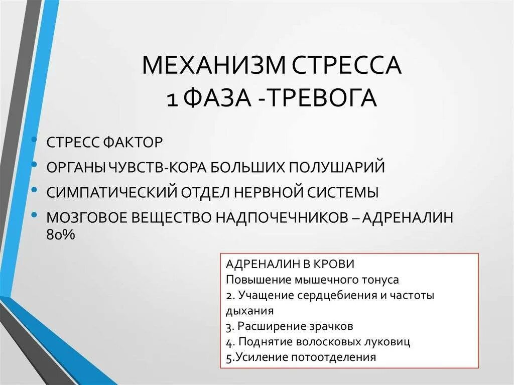 Как проходит стресс. Механизмы проявления стресса. Стадии и механизмы развития стресса. Механизм формирования стресса. Механизм стадий стресса.