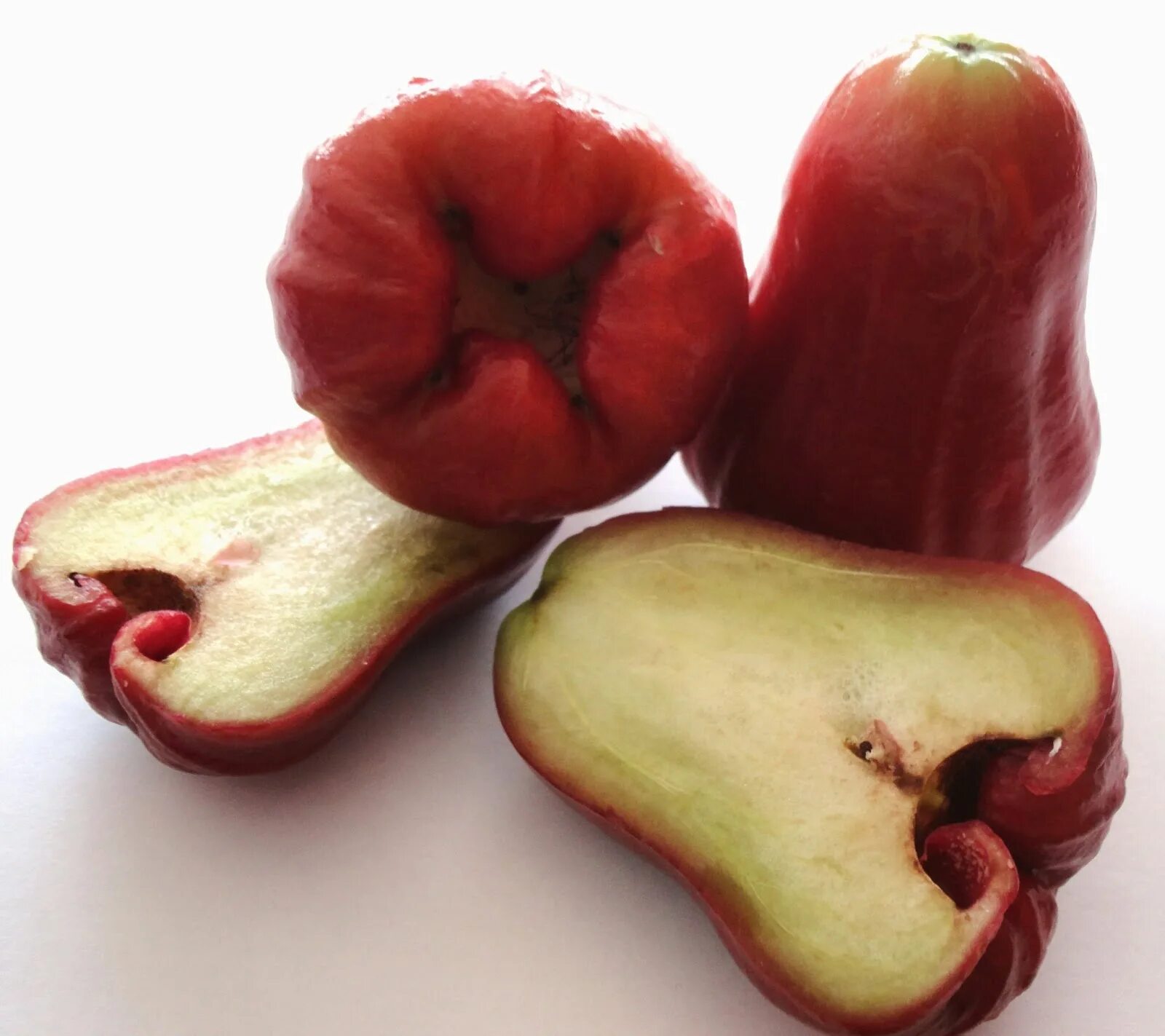 Фрукт первая г. Тайское яблоко Чомпу. Чомпу- малабарская слива- розовое яблоко. Jambu фрукт. Jambu фрукт джамбо.