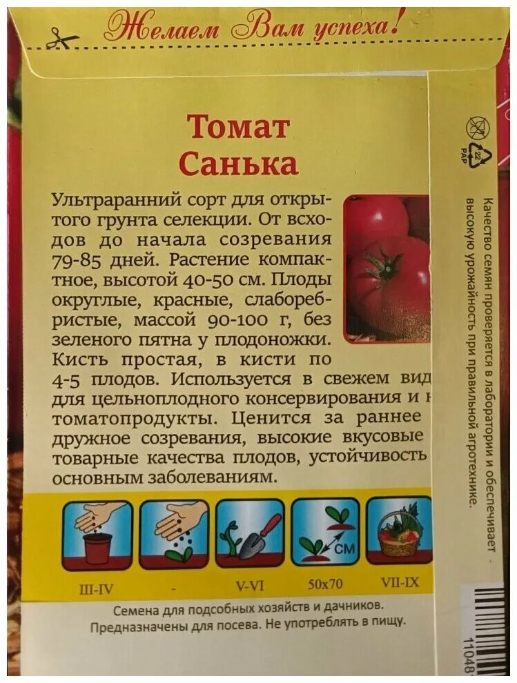 Томат Санька. Санька ультраранний томат. Сорт помидор Санька. Семена помидор Санька.