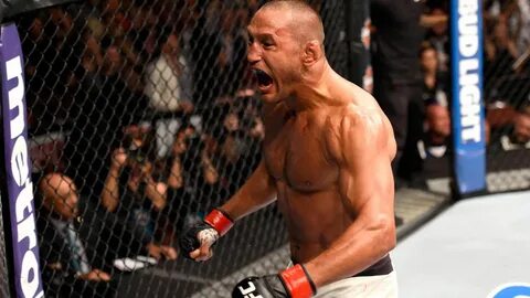 День ufc