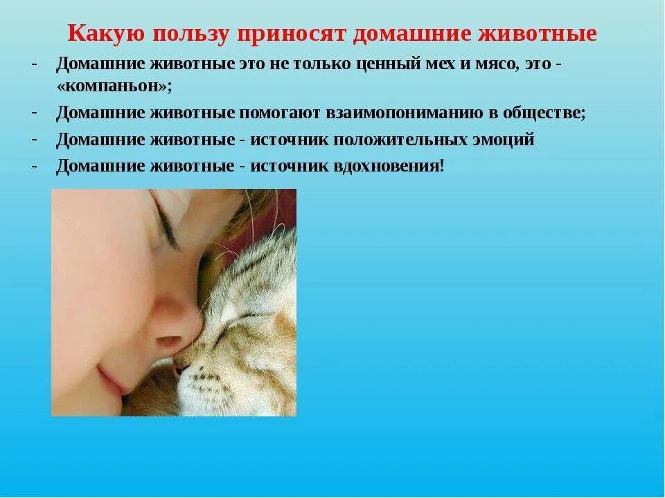 Какую пользу приносят животные людям. Какую пользу приносят домашние животные. польза животных. какую пользу приносят домашние животные человеку.