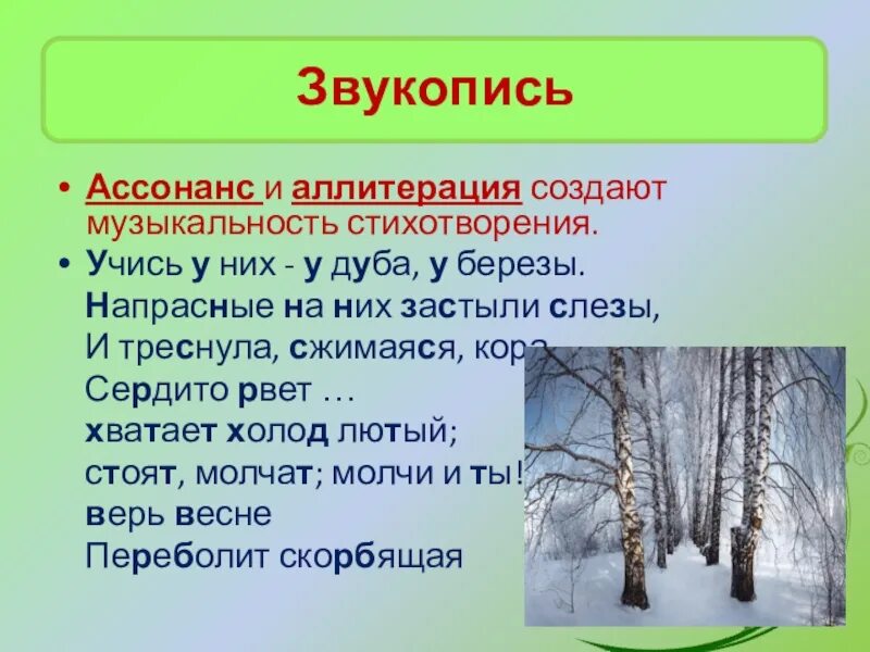 Стих учись у дуба у березы. Стих учись у дуба. Стих учись у них у дуба у березы. Учись у них у дуба у березы Фет. Стих учись у них.