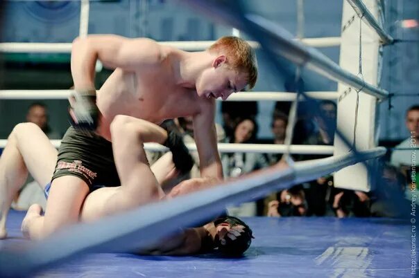 Мастер спорта по единоборствам. Мастер спорта по единоборствам. Мастер спорта по единоборствам. Мастер спорта по единоборствам. Мастер спорта по единоборствам.