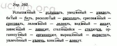 Лелеял разбор по составу