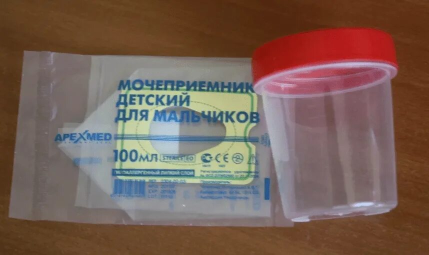 Как сдать мочу коту