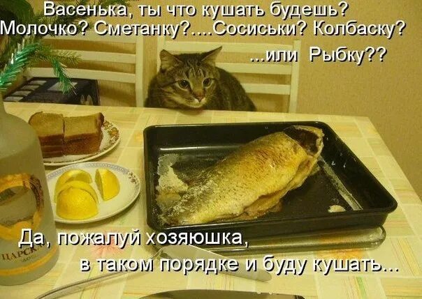 День ешь все что хочешь. Что будем кушать. Буду кушать. Я не буду кушать. Рыбный день.