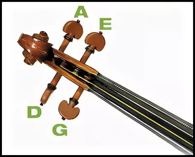 Строй скрипки. Расположение струн на виолончели. Струны на скрипке. Расположение струн на Колках скрипки.