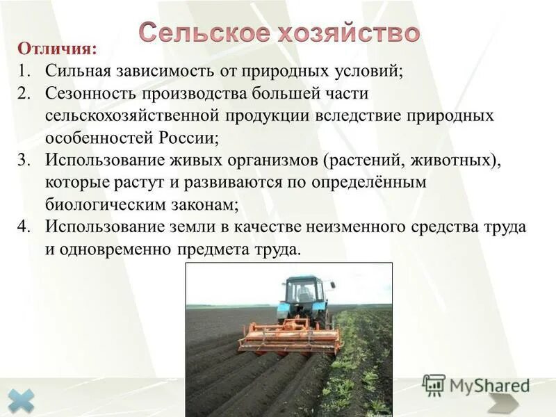 отличительные особенности сельского хозяйства. растениеводство 9 класс. особенности сельского хозяйства как отрасли. особенности сельского зозя. особенности сельского хозяйства сезонность работ.