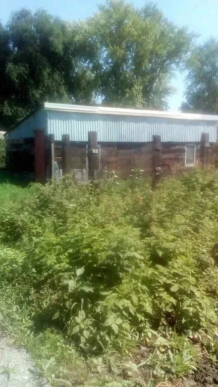 Погода село заволжье самарская область. Погода село заволжье самарская область. Погода село заволжье самарская область. Погода село заволжье самарская область. Погода село заволжье самарская область.