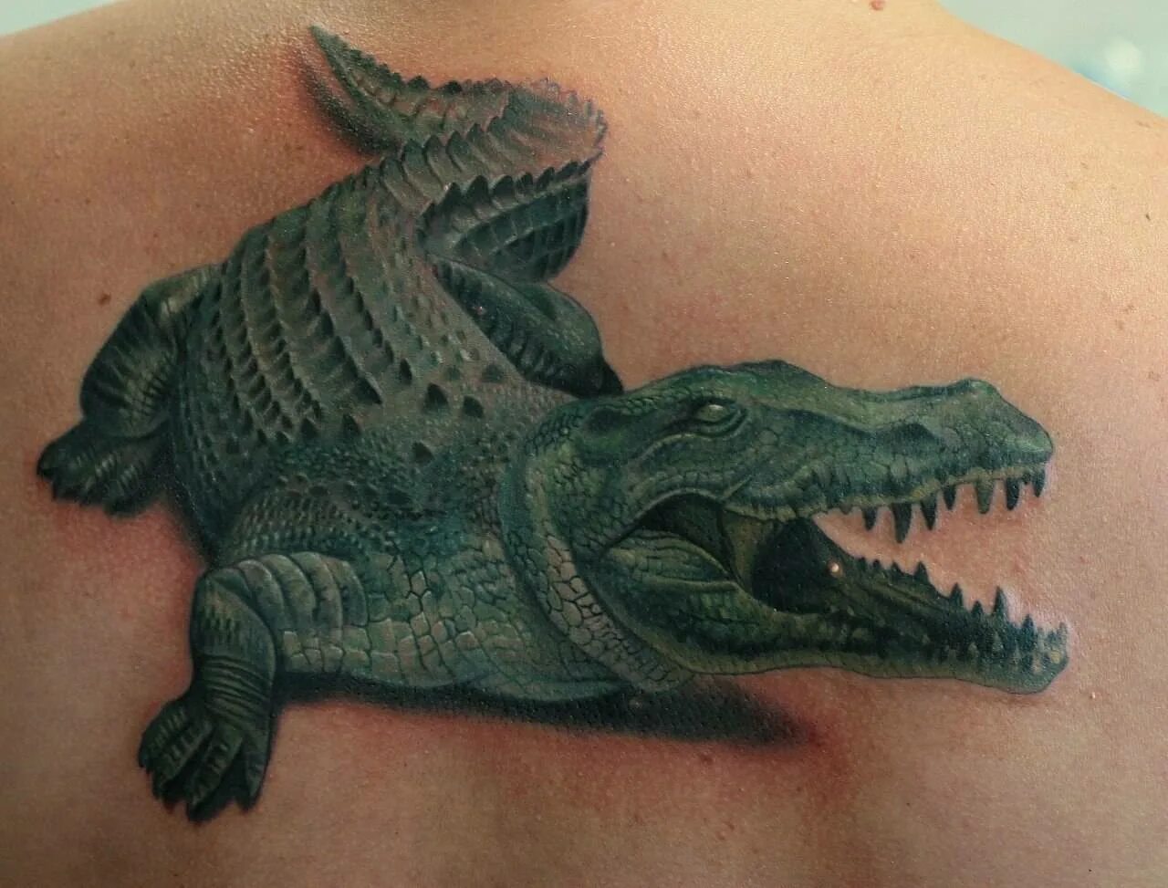 Тату крокодил реализм. Тату крокодил на руке. Тату крокодил значение. Тату крокодил значение. Тату крокодил на ноге.