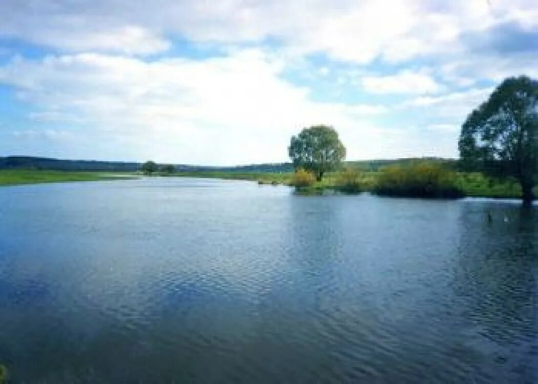 Река пена Белгородская область. Село нижние пены Ракитянского района Белгородской области. Село нижние пены Белгородская область. Пруд нижние пены Белгородская область. Погода вышние пены ракитянского района