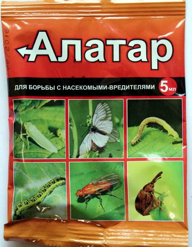 Алатар для сада от насекомых вредителей. Инсектицид Алатар 5 мл. Алатар 5 мл вх пакет. Средство для борьбы с насекомыми-вредителями "Алатар", 25 мл.. Алатар для борьбы с насекомыми от колорадского жука.