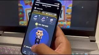 Комбо хомяк 28 29. Комбо хомяк 28 29. Комбо хомяк 28 29. Комбо хомяк 28 29. Комбо хомяк 28 29.