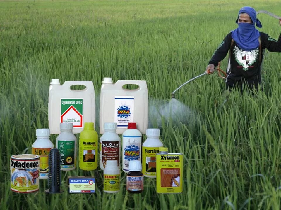 D пестицид. Органические пестициды. Удобрения и пестициды. Ядохимикаты в сельском хозяйстве. Органические ядохимикаты.