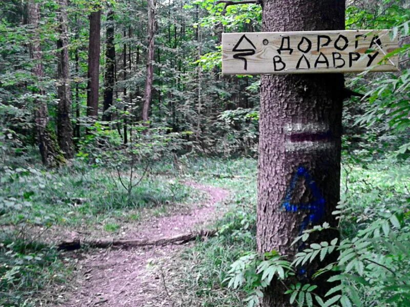 Дорога в лавру тропа. Осударева дорога карелия. Туристическая тропа в сергиев посад. Паломническая тропа в сергиев посад. Тропа в лавру.