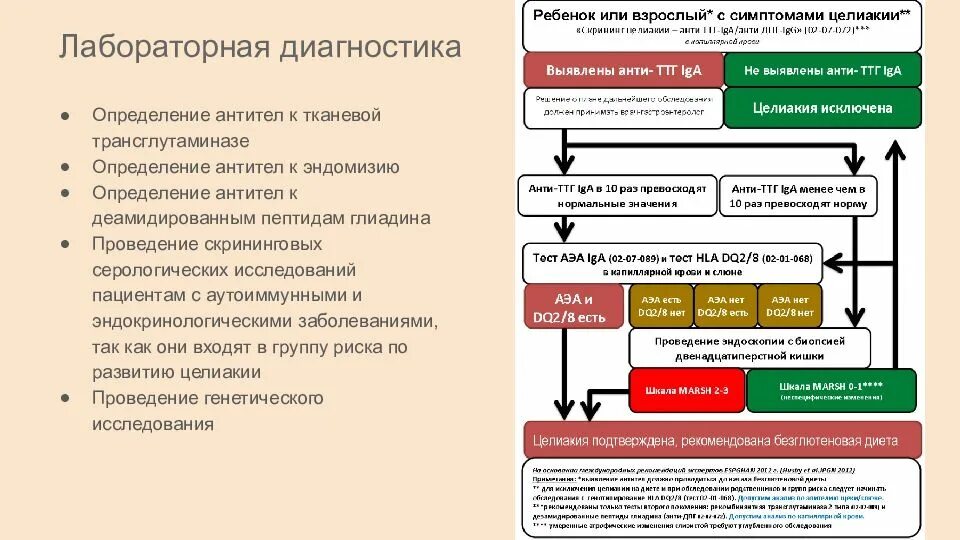 Целиакия это простыми словами. Диагностика целиакии клинические рекомендации. Целиакия план обследования. Алгоритм диагностики целиакии. Целиакия алгоритм диагностики.