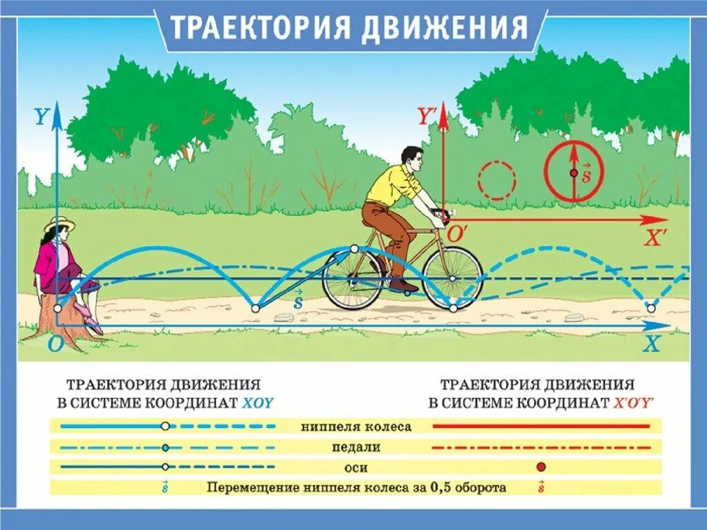 Движение в теплое время. Траектория движения. Траектория движения физика. Относительность движения. Траектория движения тела это в физике.