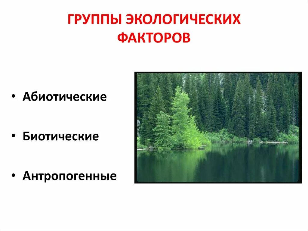 Три фактора окружающей среды. Группы экологических факторов. Три группы экологических факторов. Экологические факторы группы факторов. Основные группы экологических факторов.