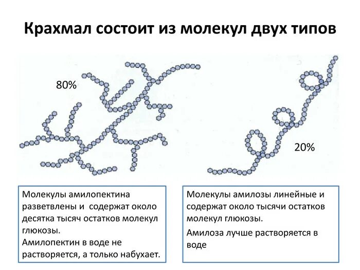Молекула крахмала рисунок. Строение молекулы крахмала линейное. строение молекулы крахмала. молекулярное строение крахмала. структура молекулы крахмала.