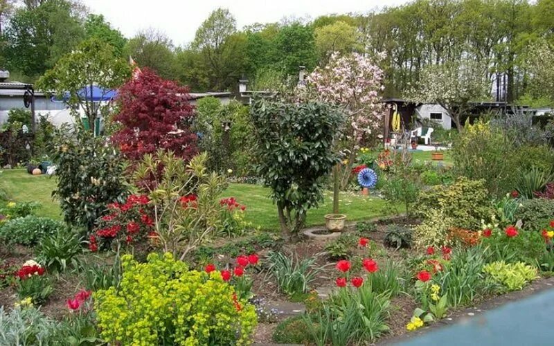 огороды около многоэтажек. сломанный сад. сломанный сад. сломанный сад. сломанный сад.