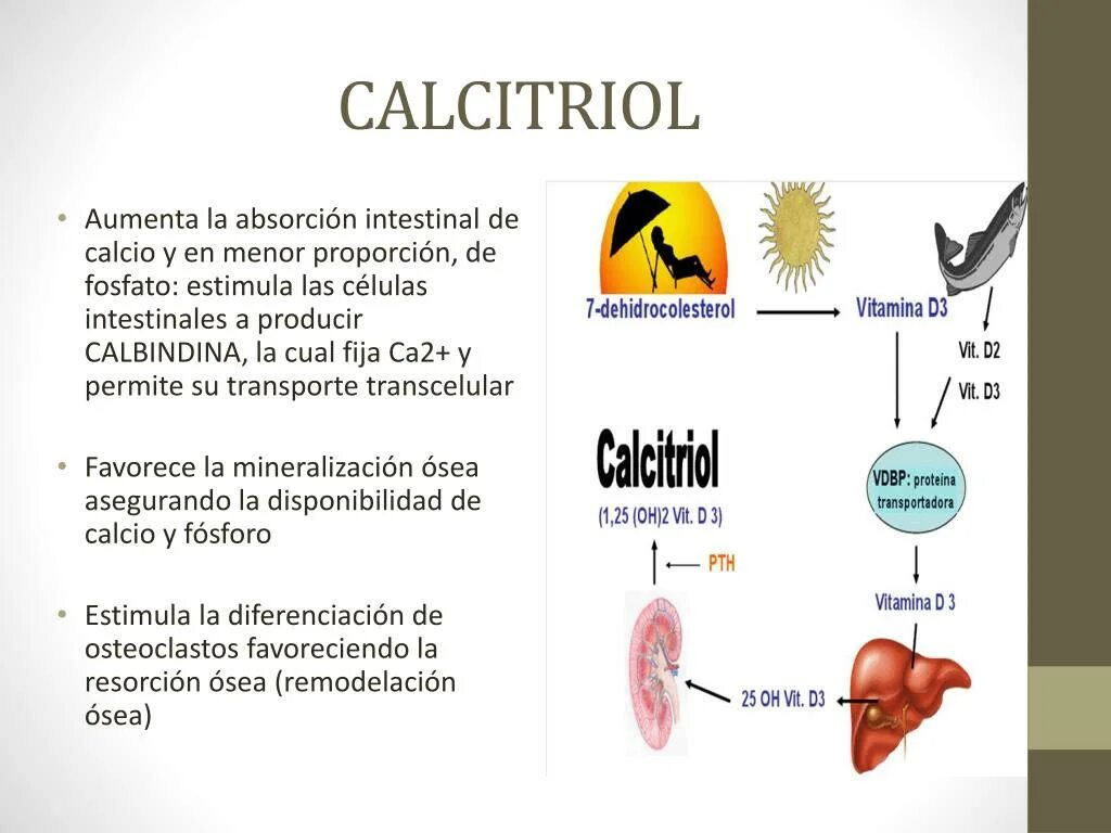 Кальцитриол цена. Этапы синтеза кальцитриола. Образование кальцитриола. Функции кальцитриола. Строение кальцитриола.