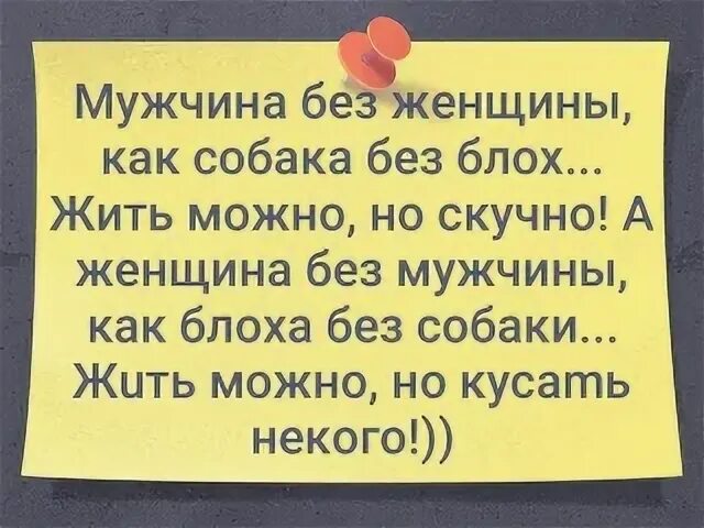 Можно жить без мужчины. Мужчина без женщины как собака без блох. Муж без жены как собака без блох. Женщина как собака без блох жить можно. Женщина без мужа как собака без блох.