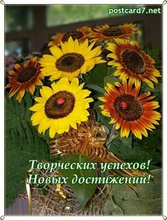 Творческих успехов коллективу
