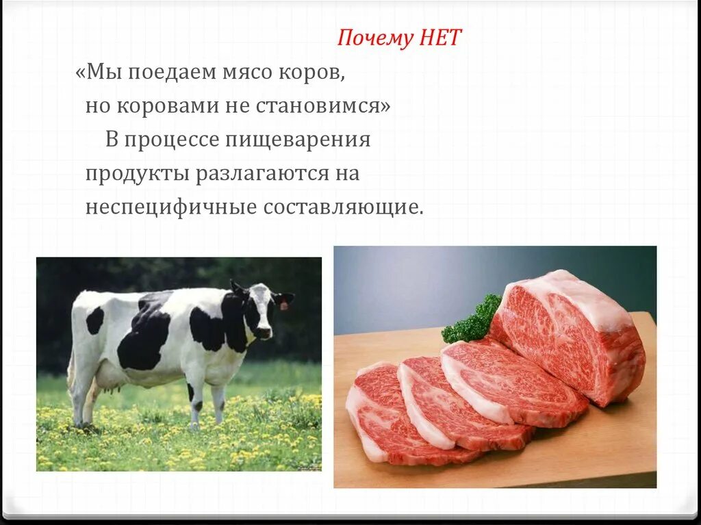 Почему коровье мясо. ГМО. Генетические модифицированные коровы мясные.