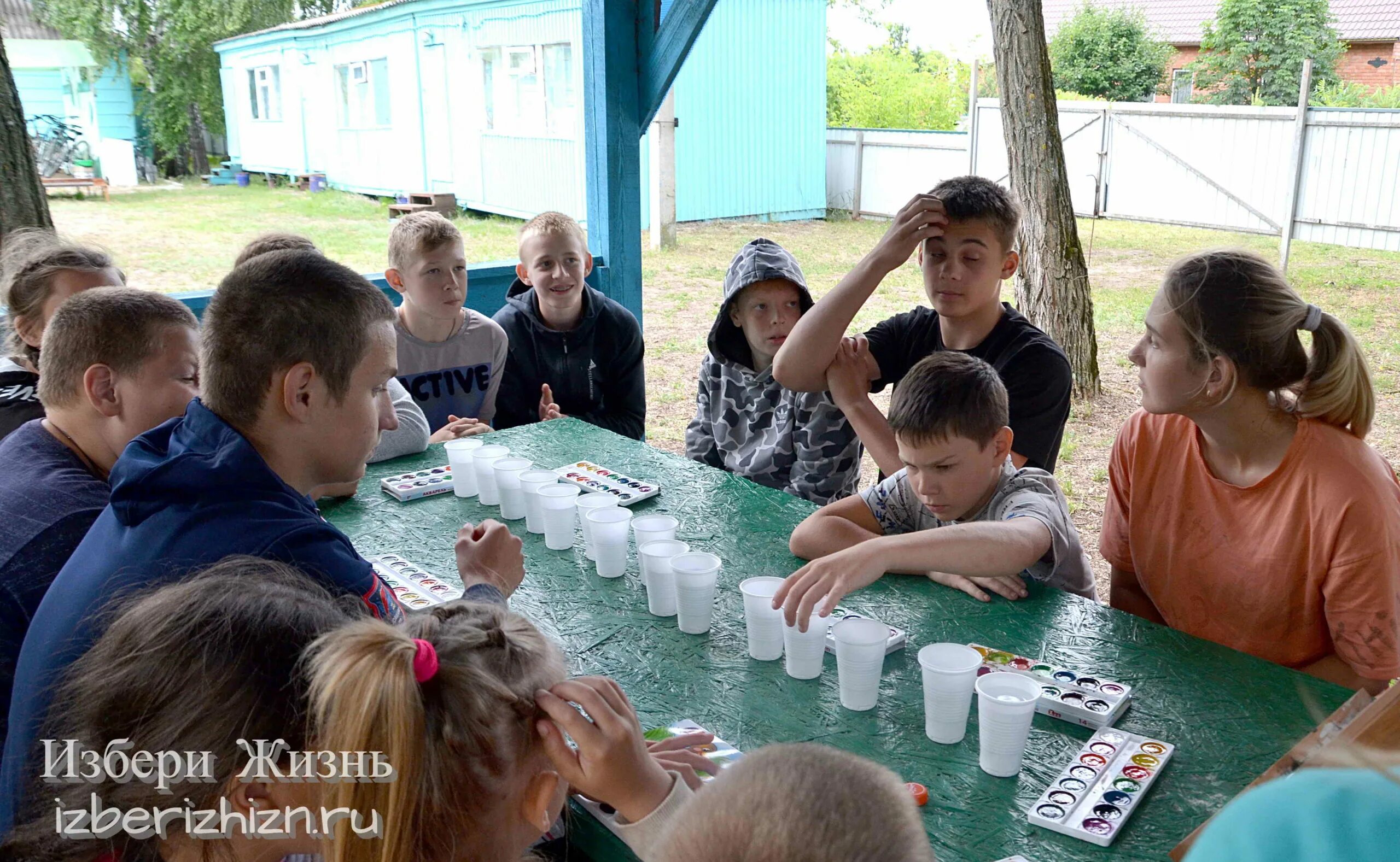 Дол альбатрос. Краснодарский край лагерь Альбатрос. Лагерь Альбатрос Синезерки. Детский лагерь Альбатрос Уфа. Лагерь Альбатрос Липецкая область.